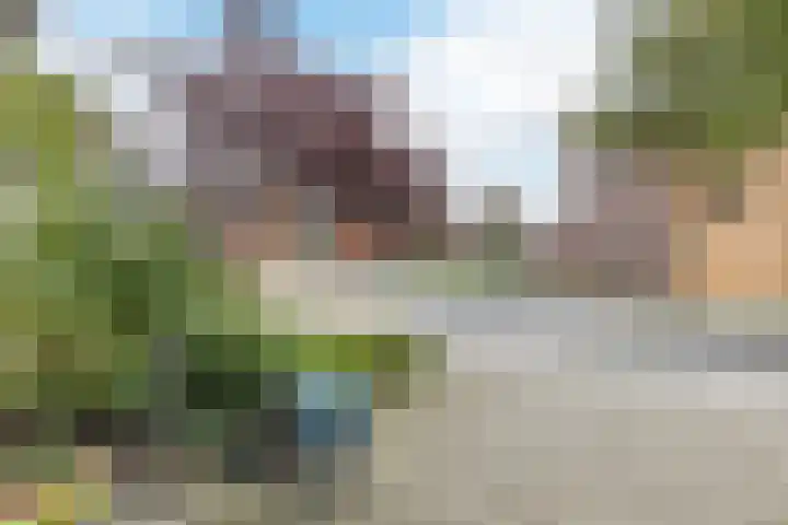 Rode Ring 239 Assendelft thumbnail 27
