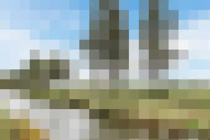 Rode Ring 239 Assendelft thumbnail 32
