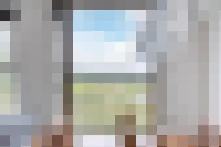 Rode Ring 239 Assendelft thumbnail 4