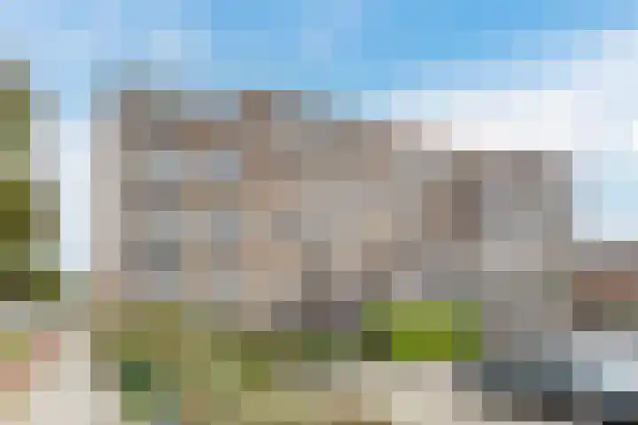 Rode Ring 239 Assendelft thumbnail 5