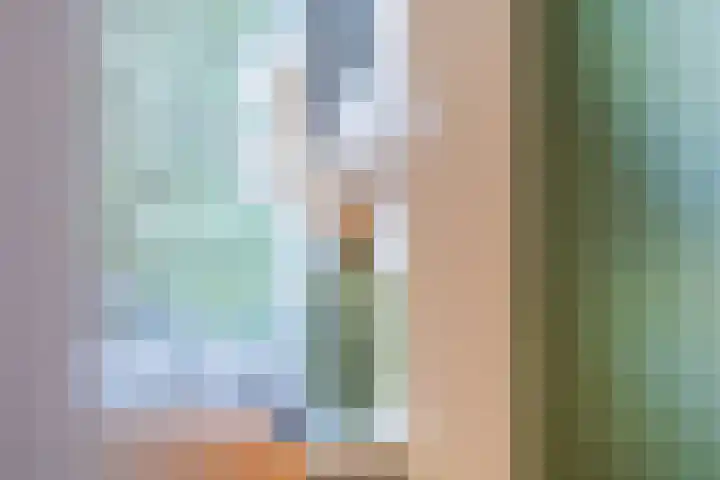 Rode Schouw 10 Halsteren thumbnail 10