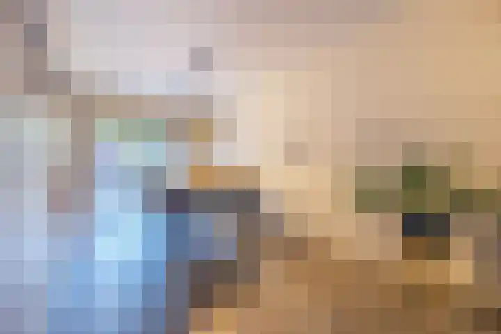 Rode Schouw 10 Halsteren thumbnail 11