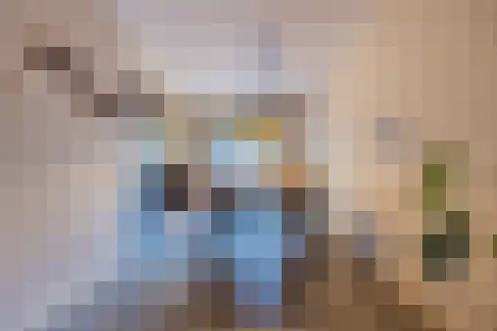 Rode Schouw 10 Halsteren thumbnail 12