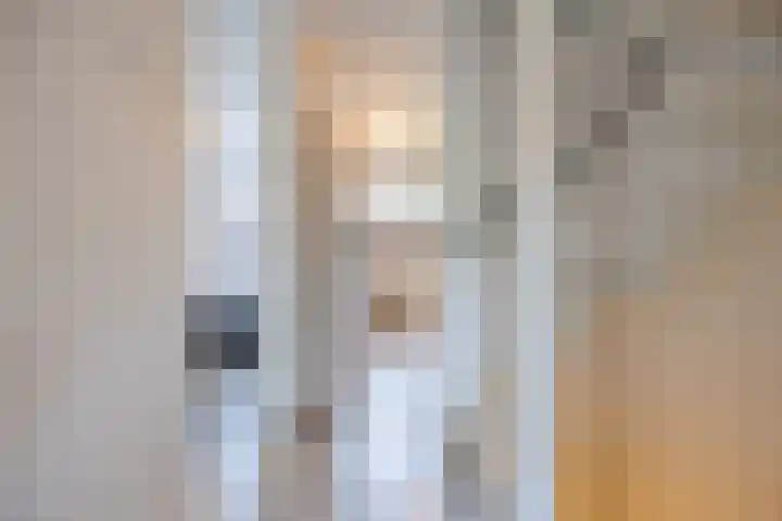 Rode Schouw 10 Halsteren thumbnail 18