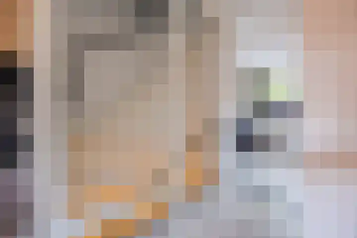 Rode Schouw 10 Halsteren thumbnail 19