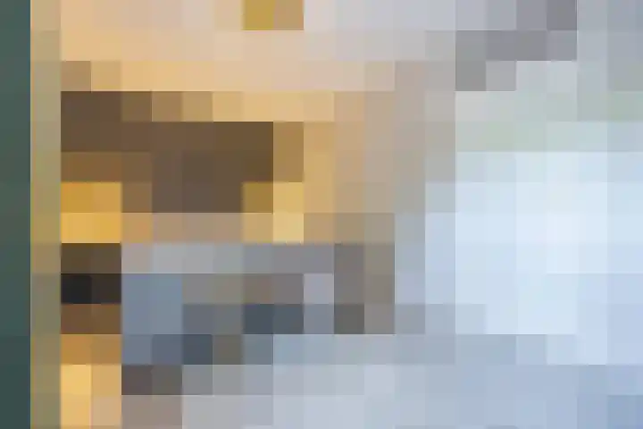 Rode Schouw 10 Halsteren thumbnail 20