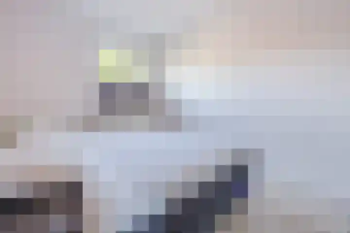 Rode Schouw 10 Halsteren thumbnail 24