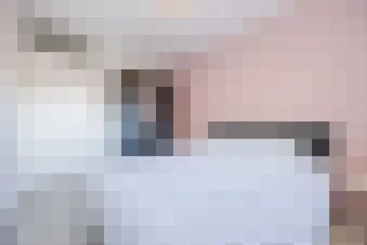 Rode Schouw 10 Halsteren thumbnail 25