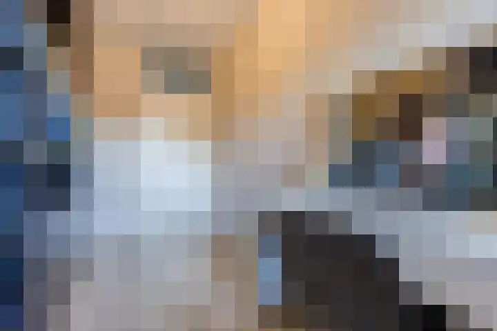 Rode Schouw 10 Halsteren thumbnail 27