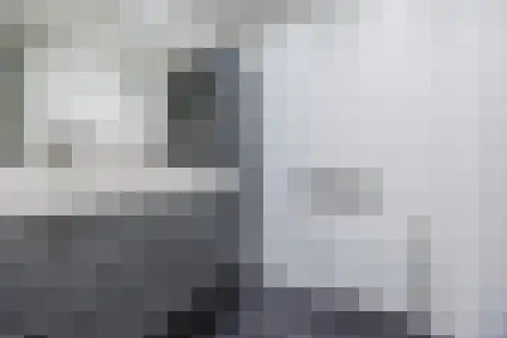 Rode Schouw 10 Halsteren thumbnail 28