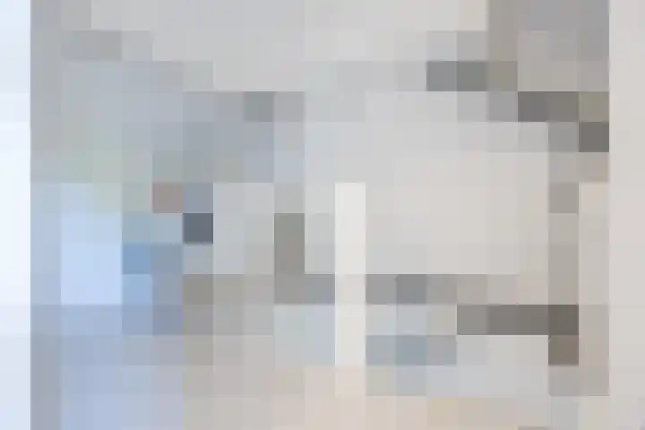 Rode Schouw 10 Halsteren thumbnail 33