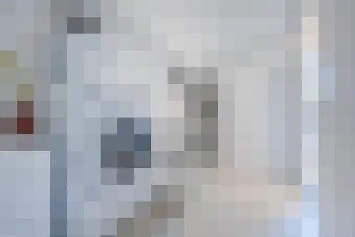 Rode Schouw 10 Halsteren thumbnail 34