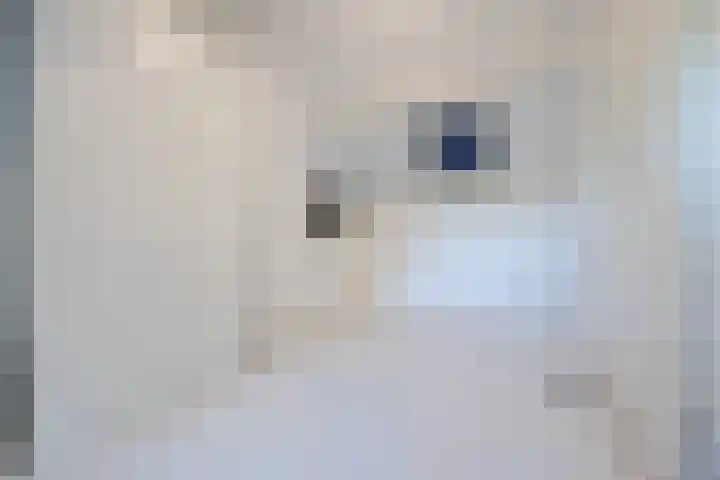Rode Schouw 10 Halsteren thumbnail 36