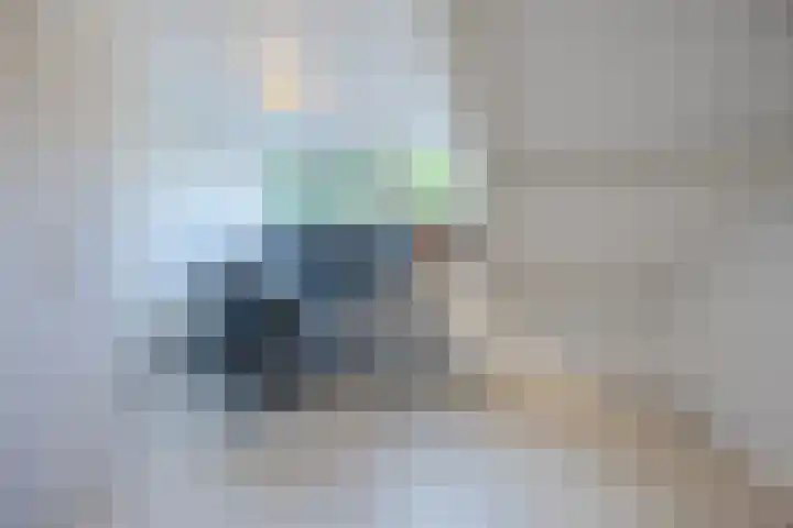 Rode Schouw 10 Halsteren thumbnail 37