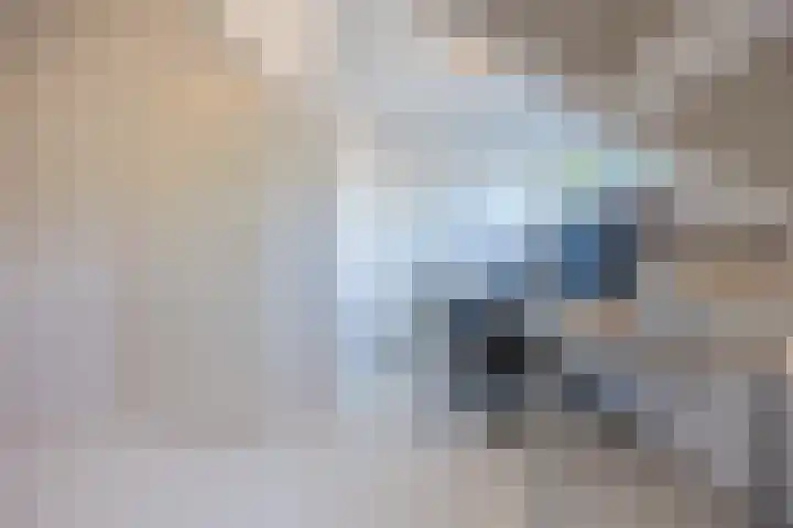 Rode Schouw 10 Halsteren thumbnail 38