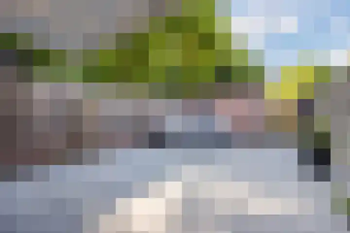 Rode Schouw 10 Halsteren thumbnail 39