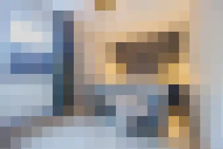 Rode Schouw 10 Halsteren thumbnail 4