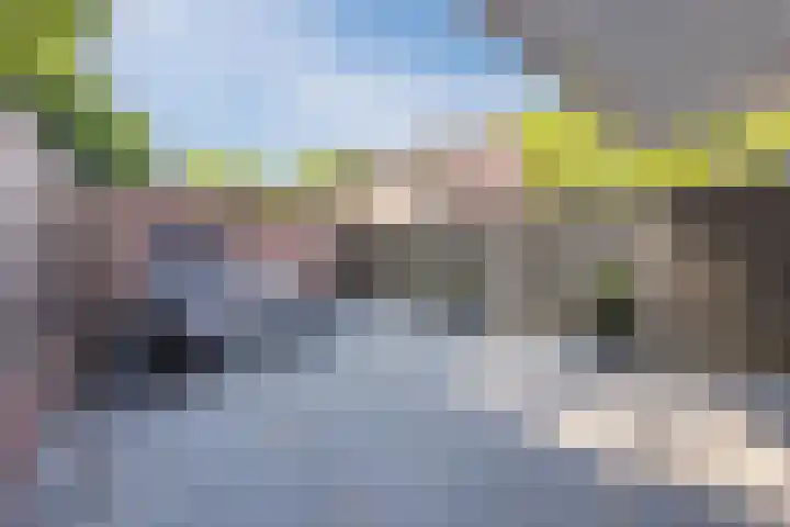 Rode Schouw 10 Halsteren thumbnail 40