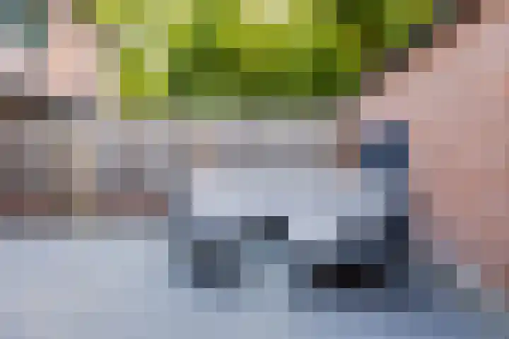 Rode Schouw 10 Halsteren thumbnail 41