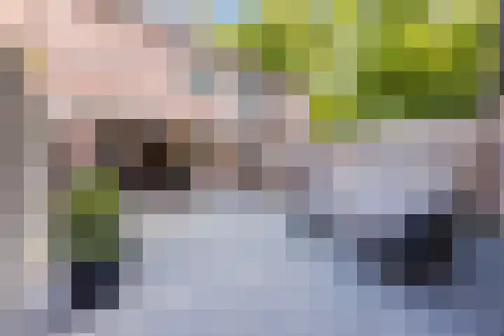 Rode Schouw 10 Halsteren thumbnail 43