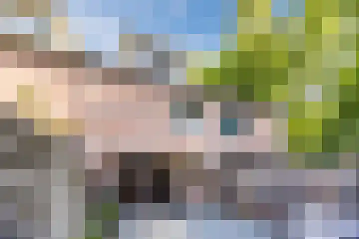 Rode Schouw 10 Halsteren thumbnail 44