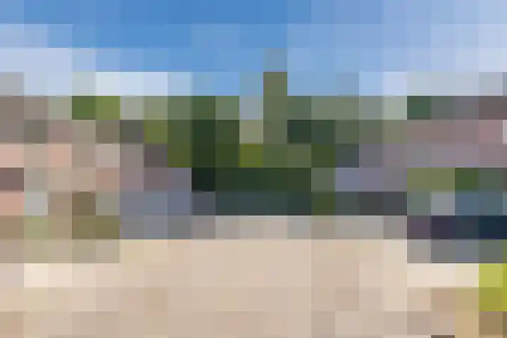 Rode Schouw 10 Halsteren thumbnail 45