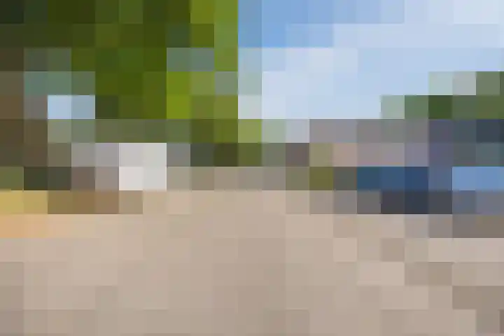 Rode Schouw 10 Halsteren thumbnail 46