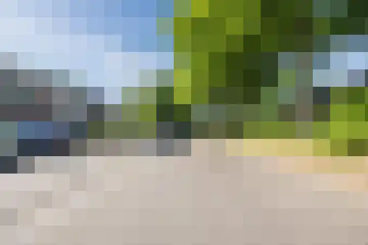Rode Schouw 10 Halsteren thumbnail 47
