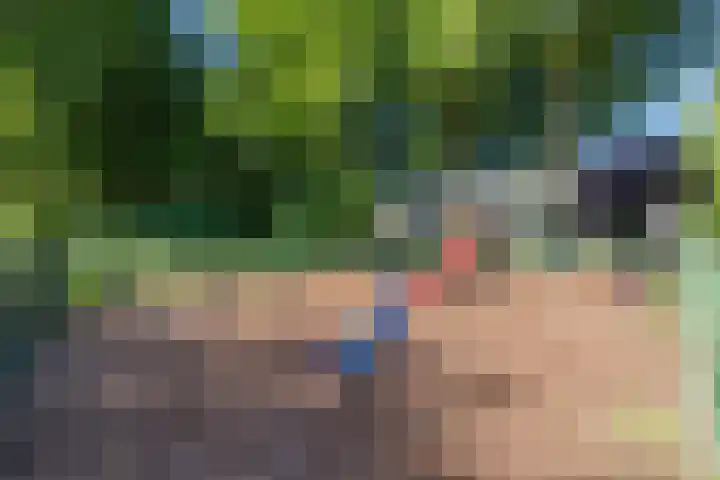 Rode Schouw 10 Halsteren thumbnail 48