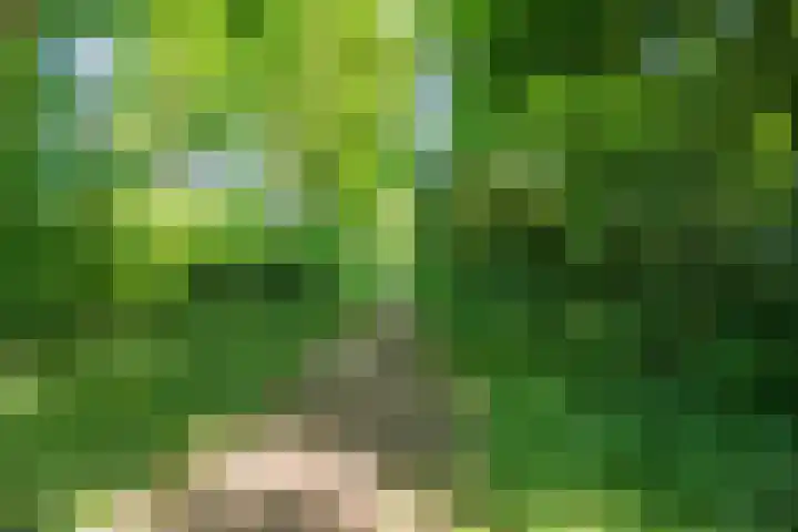 Rode Schouw 10 Halsteren thumbnail 49