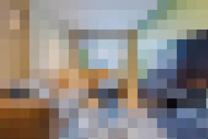 Rode Schouw 10 Halsteren thumbnail 5