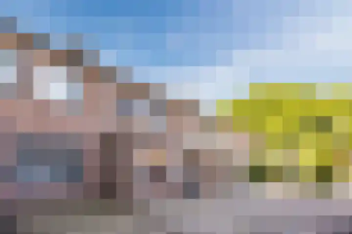Rode Schouw 10 Halsteren thumbnail 54