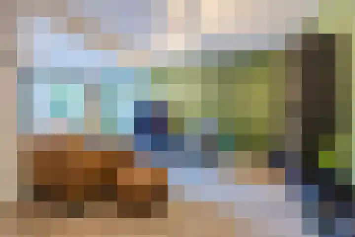 Rode Schouw 10 Halsteren thumbnail 6