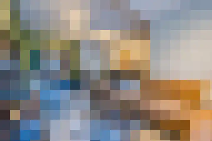 Rode Schouw 10 Halsteren thumbnail 7