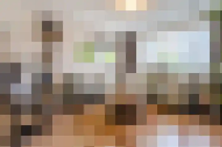 Rode Schouw 34 Halsteren thumbnail 10