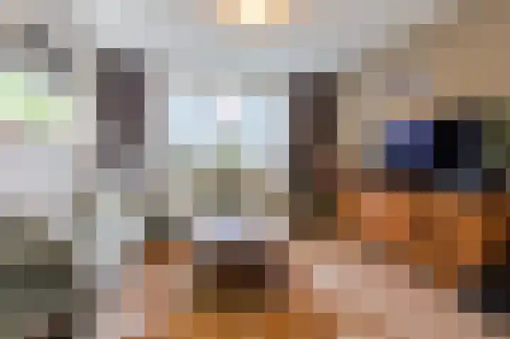 Rode Schouw 34 Halsteren thumbnail 11