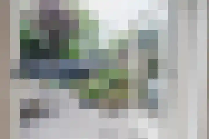 Rode Schouw 34 Halsteren thumbnail 14