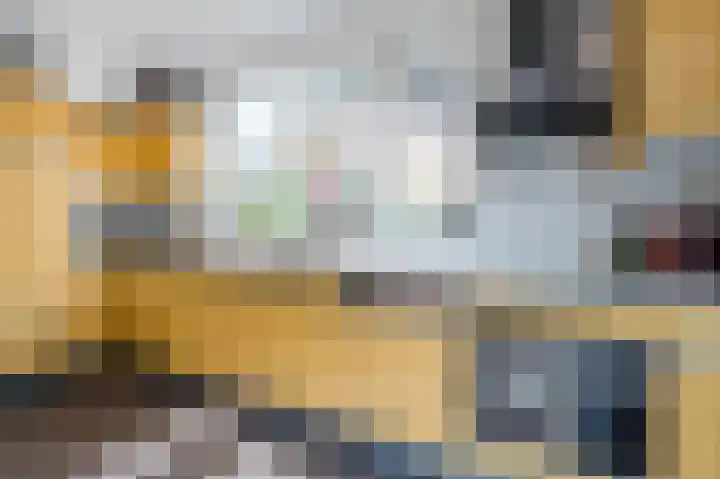 Rode Schouw 34 Halsteren thumbnail 15