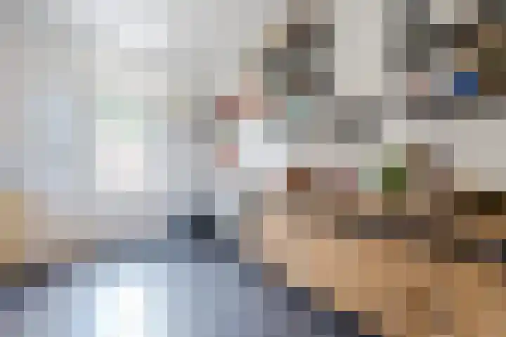 Rode Schouw 34 Halsteren thumbnail 16