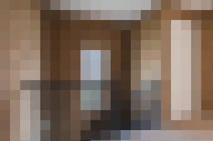 Rode Schouw 34 Halsteren thumbnail 18