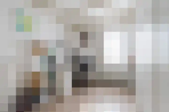 Rode Schouw 34 Halsteren thumbnail 26