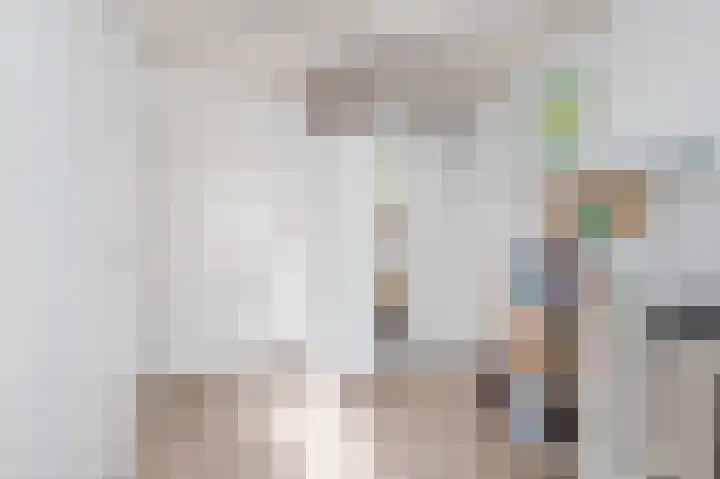 Rode Schouw 34 Halsteren thumbnail 27