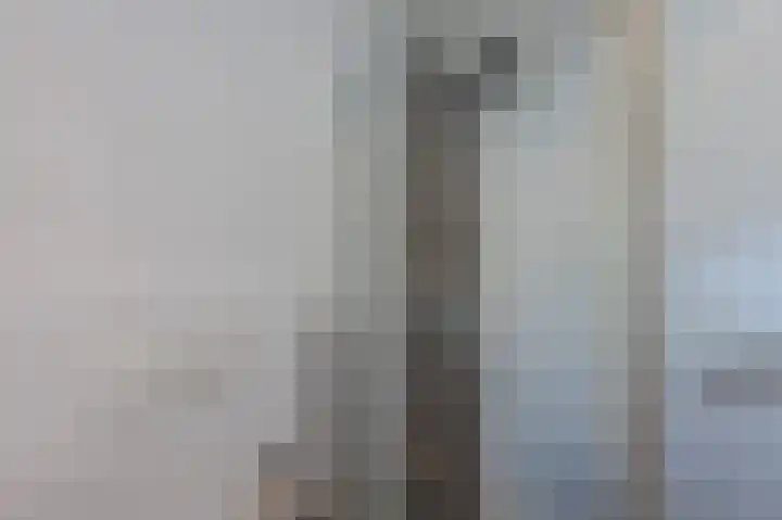 Rode Schouw 34 Halsteren thumbnail 30