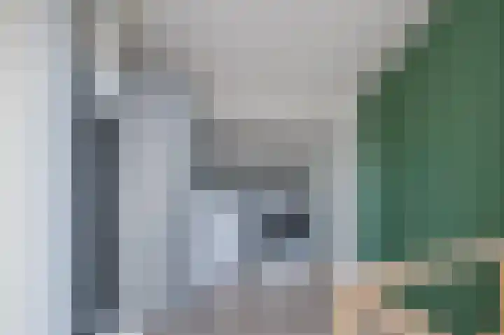 Rode Schouw 34 Halsteren thumbnail 32