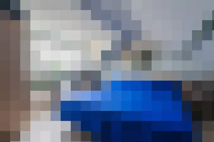 Rode Schouw 34 Halsteren thumbnail 34