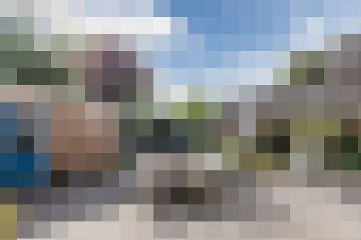 Rode Schouw 34 Halsteren thumbnail 4
