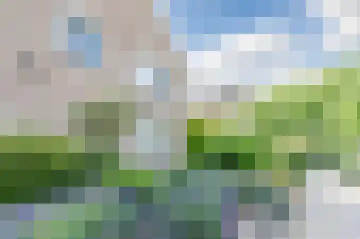 Rode Schouw 34 Halsteren thumbnail 44
