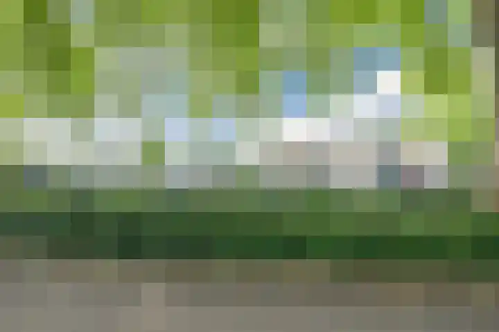 Rode Schouw 34 Halsteren thumbnail 47