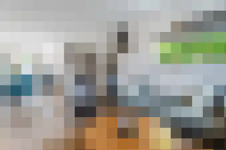 Rode Schouw 34 Halsteren thumbnail 5