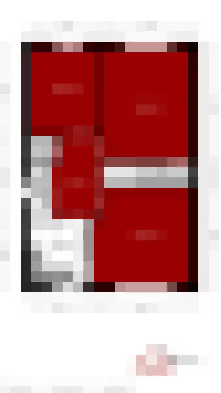 Rode Schouw 34 Halsteren thumbnail 50